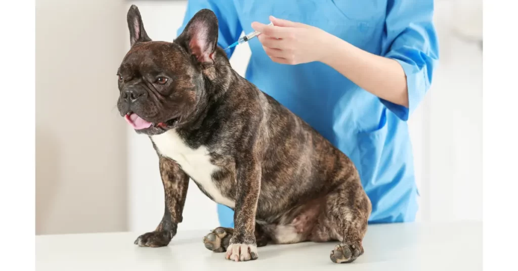 犬の混合ワクチンの種類