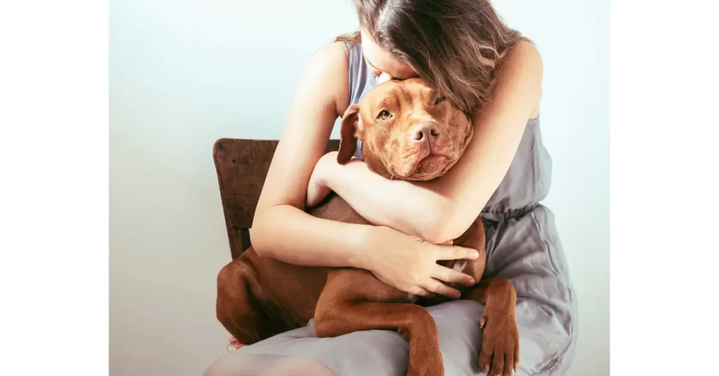 犬を迎えるための条件