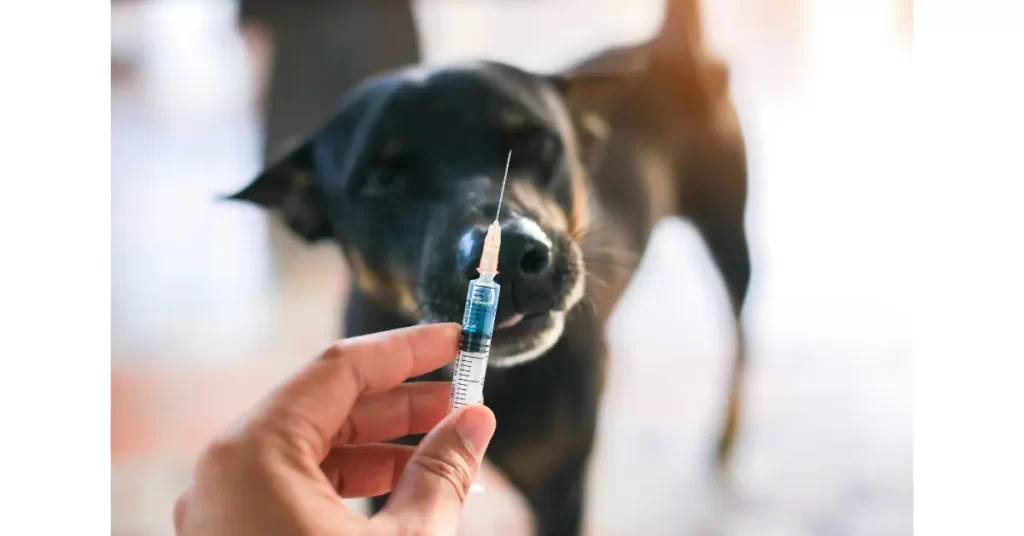 狂犬病ワクチンの重要性