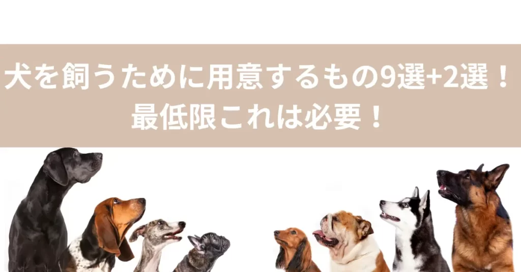 犬を飼うために用意するもの9選+2選！最低限これは必要！